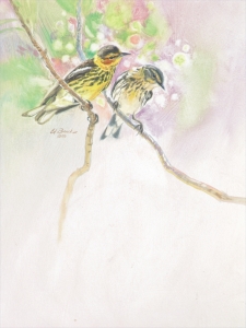 CAPE MAY WARBLERS